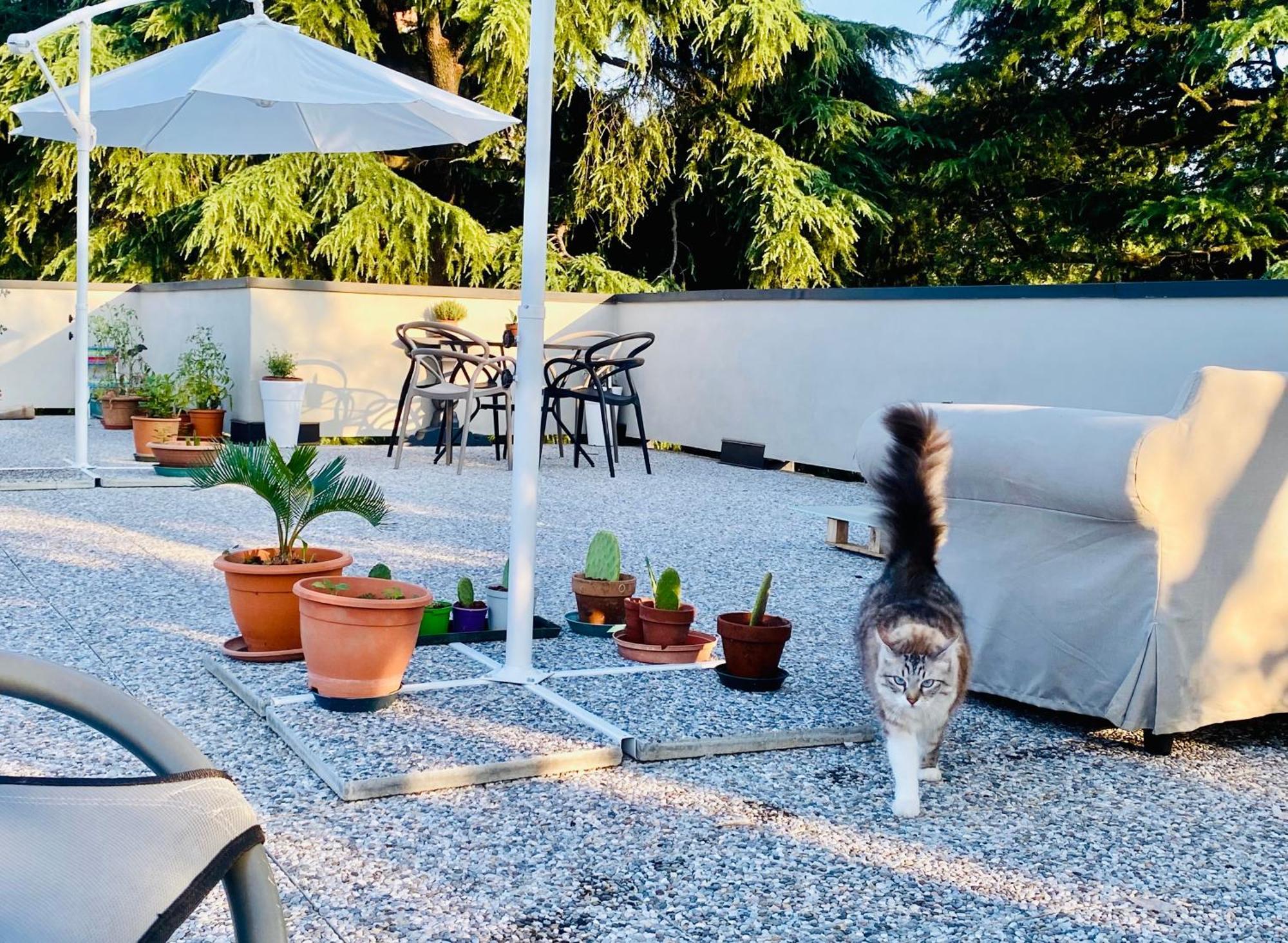 The Luxory Cat Bed & Breakfast Milano Dış mekan fotoğraf