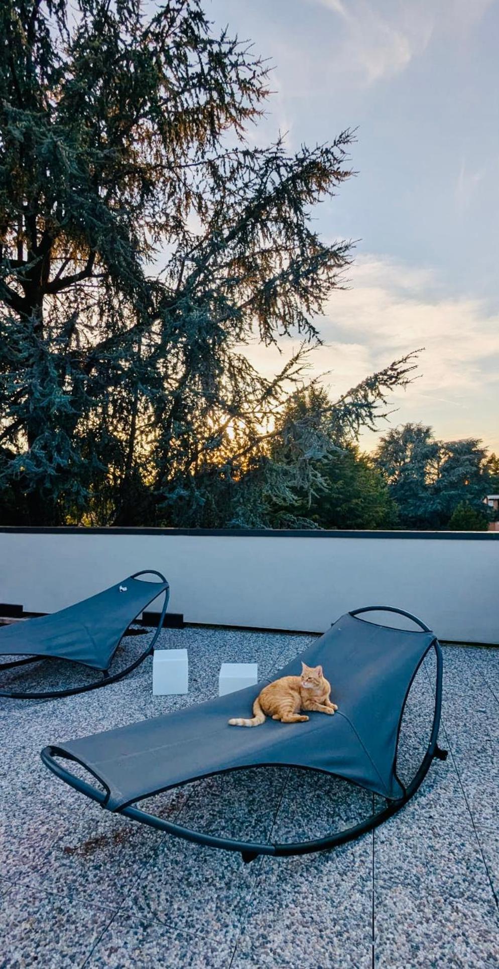 The Luxory Cat Bed & Breakfast Milano Dış mekan fotoğraf